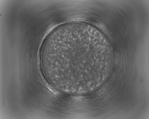 X0000056001031200509092040