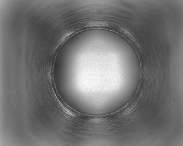 X0000056001033200509092040