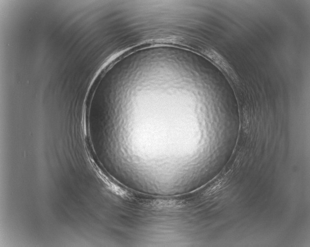 X0000056001036200509092040