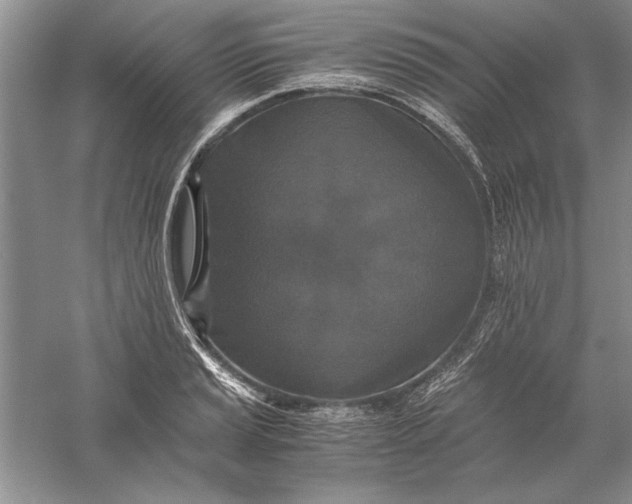 X0000056001037200509092040