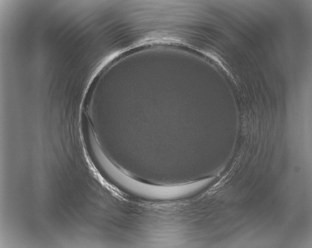 X0000056001038200509092040