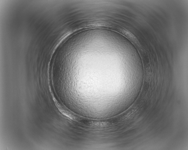 X0000056001039200509092040