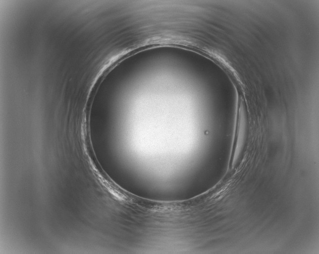 X0000056001040200509092040