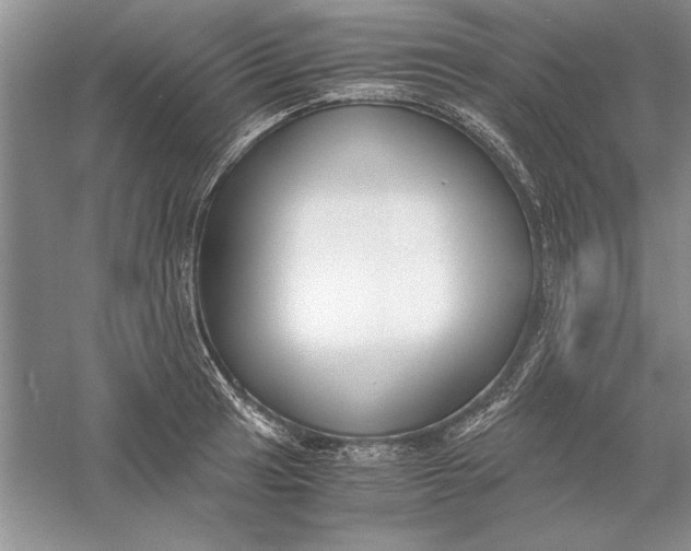 X0000056001041200509092040