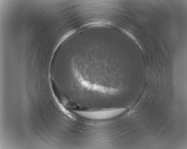 X0000056001042200509092040