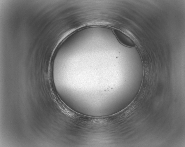 X0000056001044200509092040