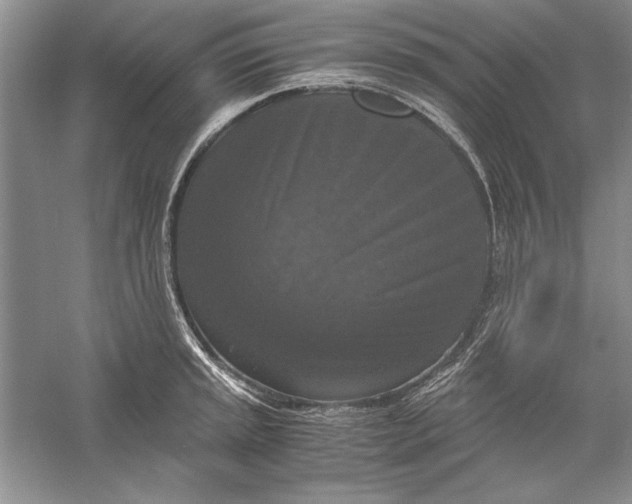 X0000056001045200509092040