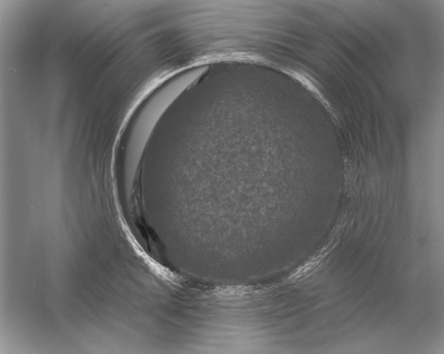 X0000056001046200509092040