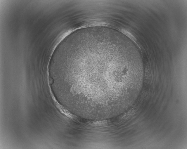 X0000056001047200509092040