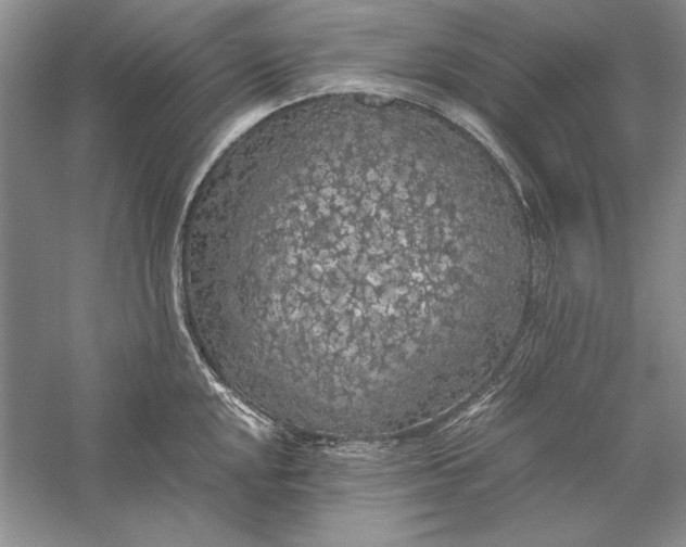 X0000056001048200509092041