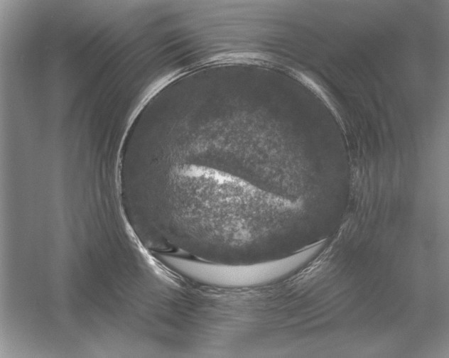 X0000056001050200509092041