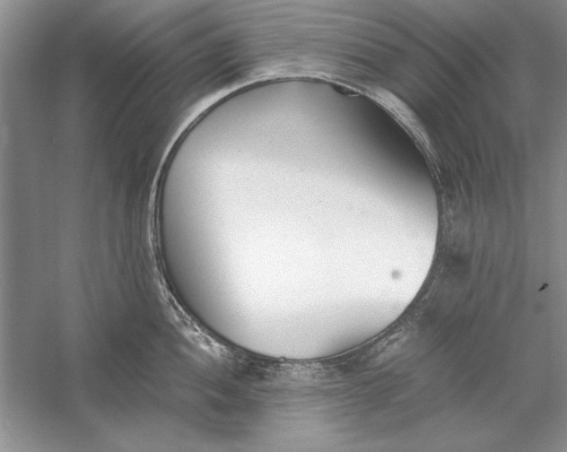 X0000056001052200509092041