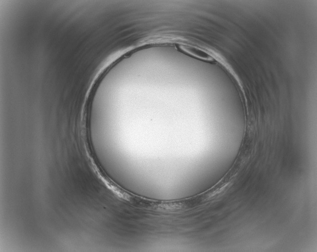 X0000056001053200509092041