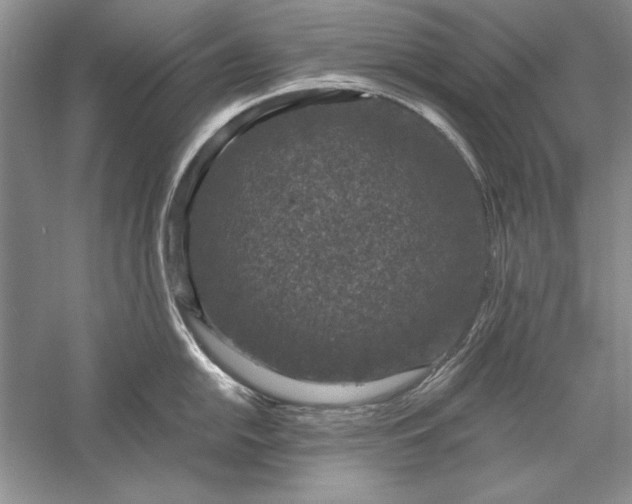 X0000056001054200509092041