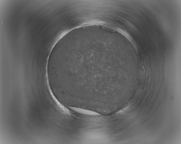 X0000056001055200509092041