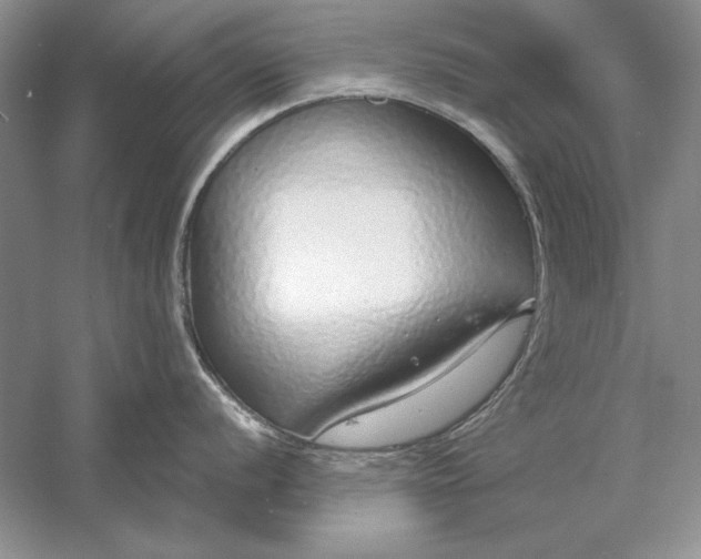 X0000056001056200509092041