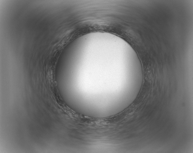 X0000056001061200509092040