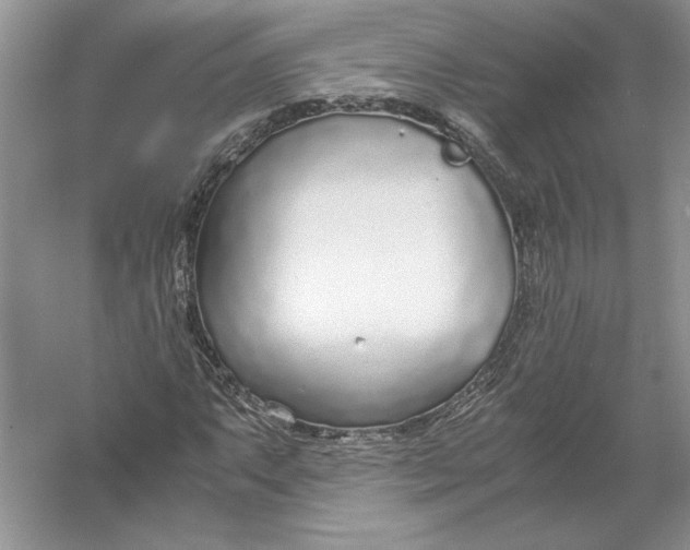 X0000056001063200509092040