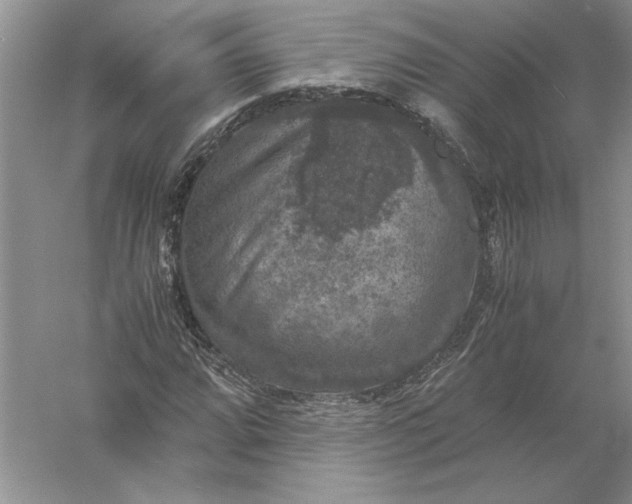 X0000056001064200509092040