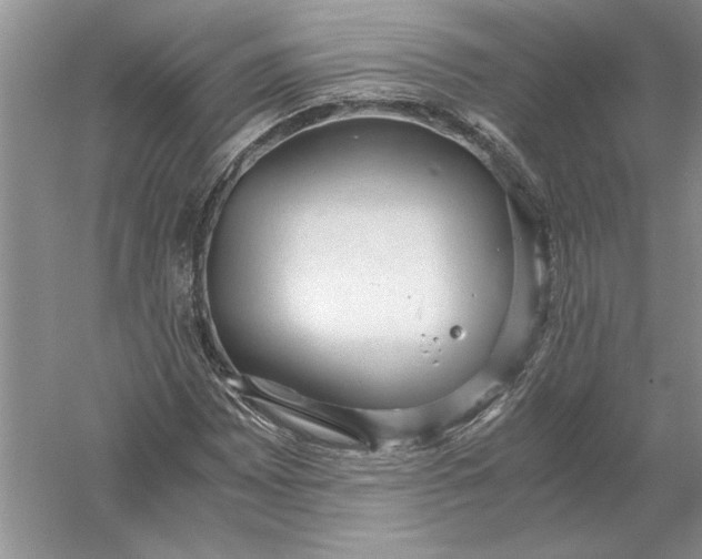 X0000056001065200509092040