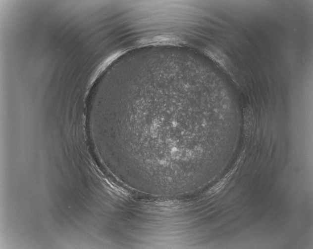 X0000056001066200509092040