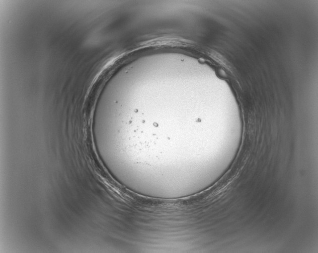 X0000056001067200509092040