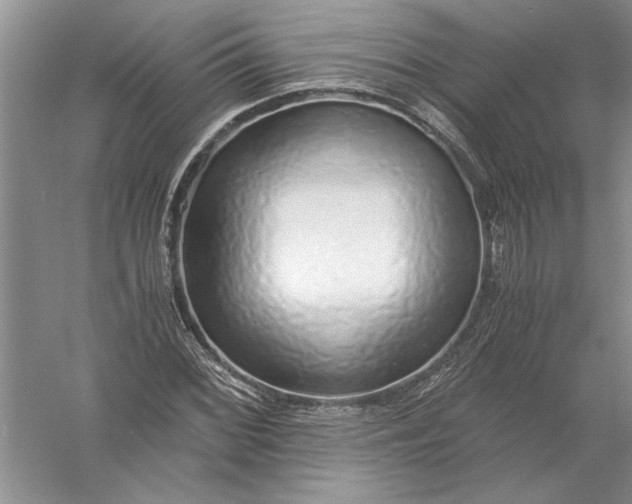 X0000056001068200509092040