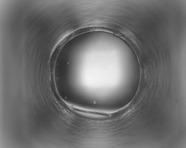 X0000056001069200509092040