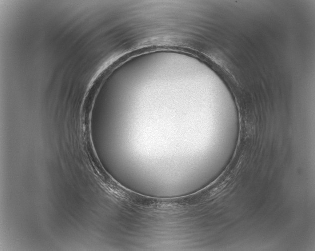 X0000056001070200509092040