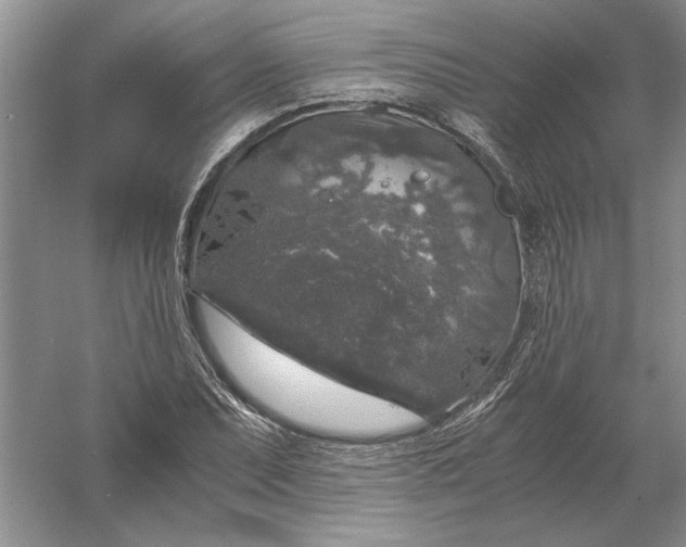 X0000056001071200509092040