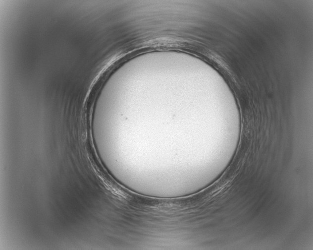 X0000056001075200509092040