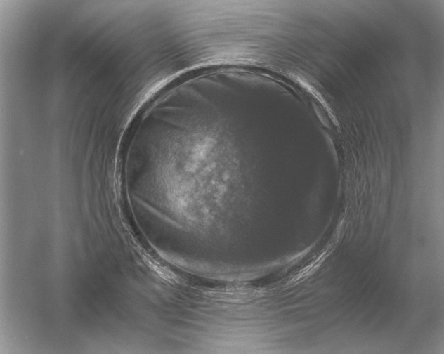 X0000056001077200509092039