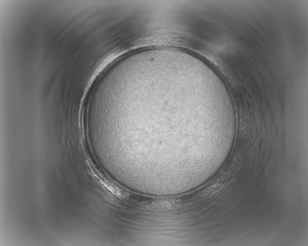 X0000056001078200509092039