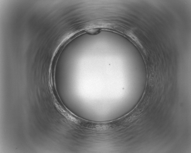 X0000056001080200509092039