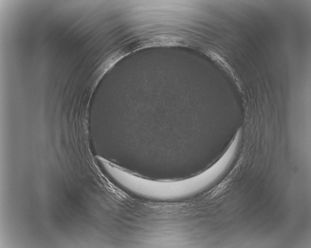 X0000056001081200509092039