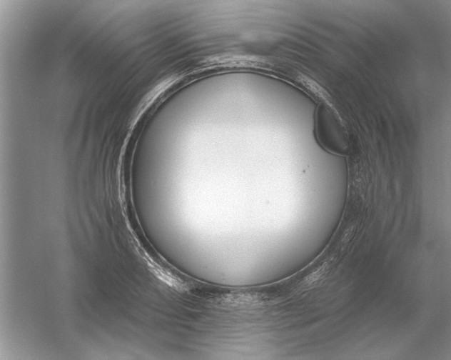 X0000056001082200509092039