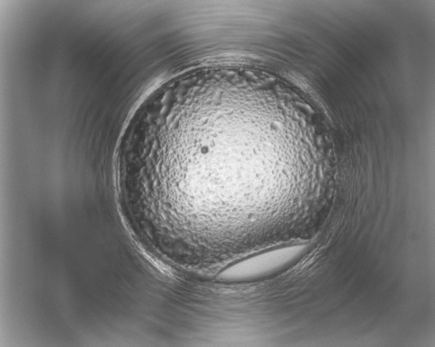 X0000056001083200509092039