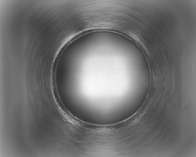 X0000056001085200509092039