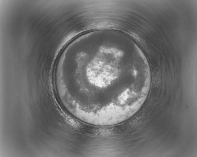 X0000056001086200509092039