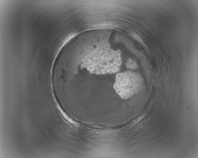 X0000056001087200509092039