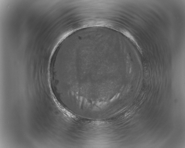 X0000056001088200509092039