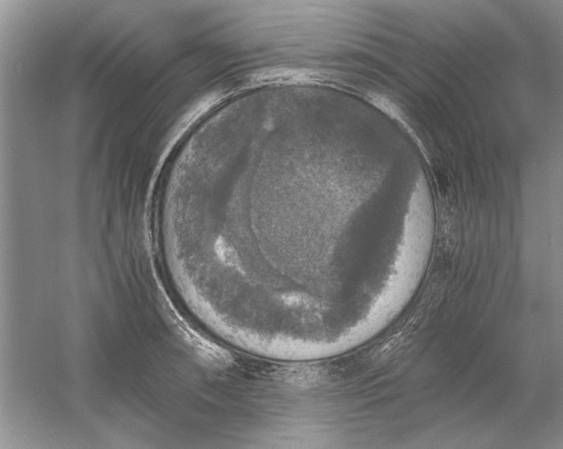 X0000056001090200509092039