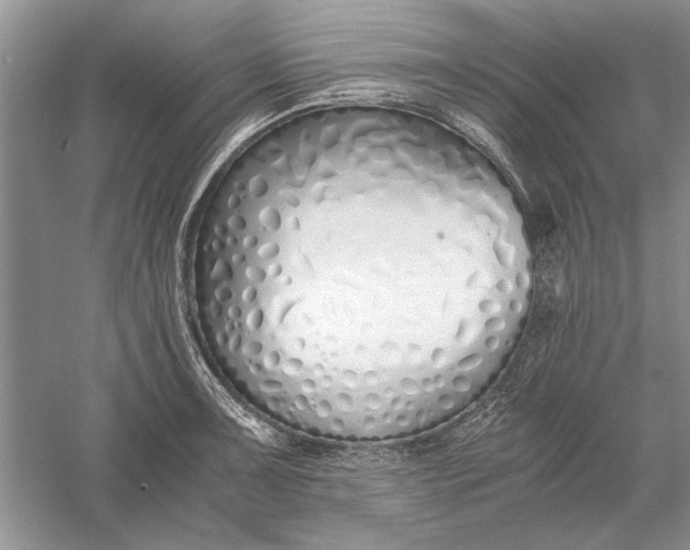 X0000056001091200509092039