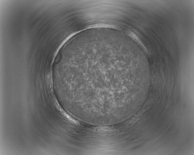 X0000056001092200509092039