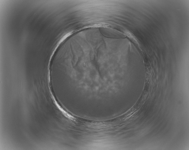 X0000056001095200509092039