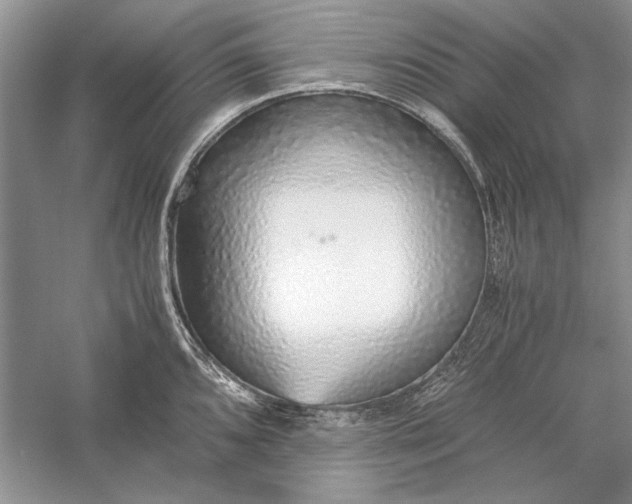 X0000056001096200509092039