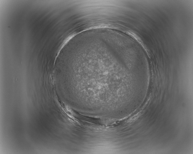 X0000056001097200509092039