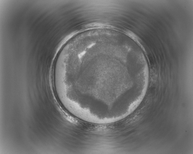 X0000056001098200509092039