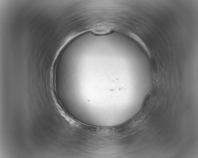 X0000056001099200509092039