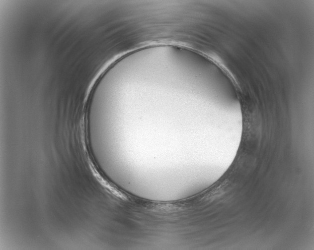 X0000056001100200509092039